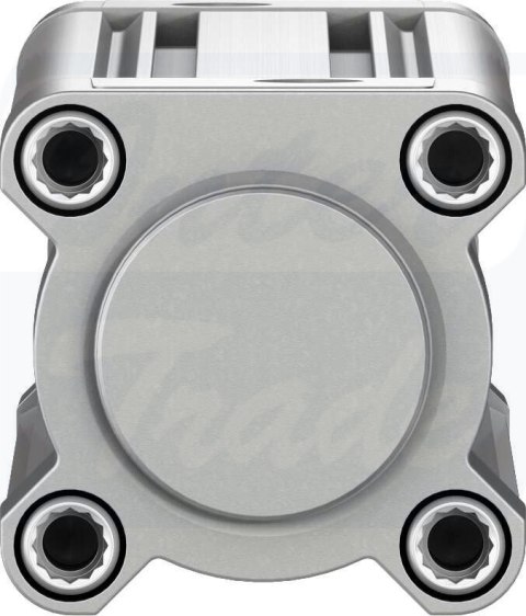 [DSBC-50-200-PPSA-N3] {1376310} Siłownik znormalizowany