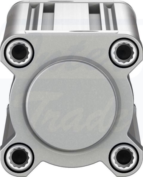 [DSBC-50-320-PPVA-N3] {1366957} Siłownik znormalizowany