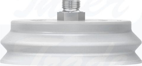 [VASB-100-1/4-SI-B] {1382277} Przyssawka