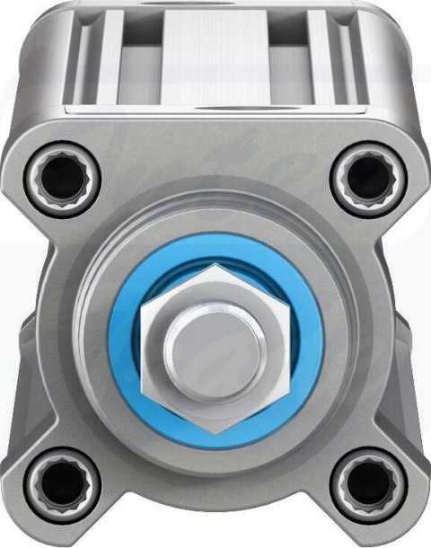 [DSBC-40-300-PPSA-N3] {2123785} Siłownik znormalizowany