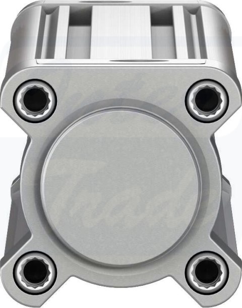 [DSBC-40-300-PPSA-N3] {2123785} Siłownik znormalizowany