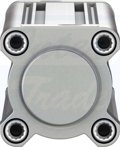 [DSBC-50-300-PPVA-N3] {2098975} Siłownik znormalizowany