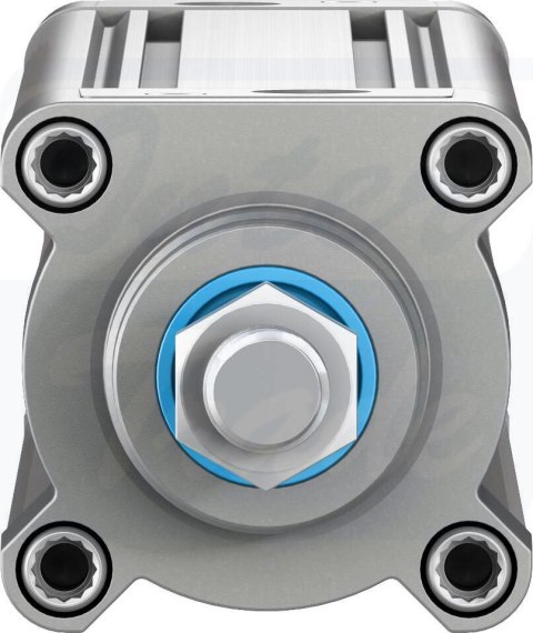 [DSBC-63-300-PPVA-N3] {2125495} Siłownik znormalizowany