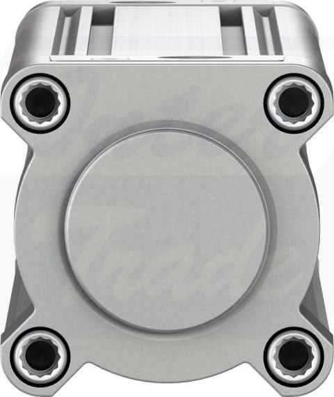 [DSBC-63-300-PPVA-N3] {2125495} Siłownik znormalizowany