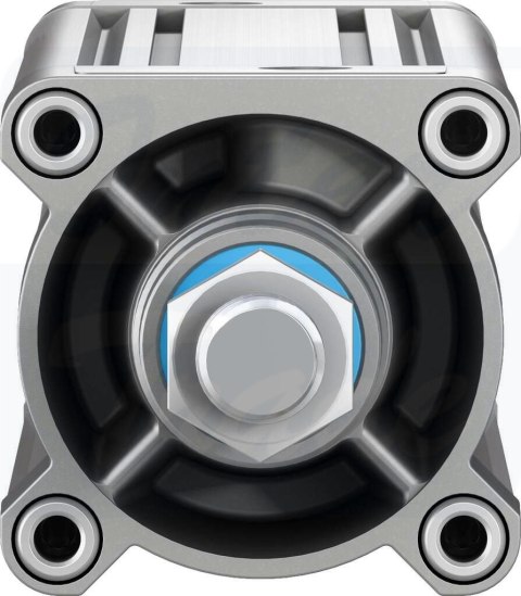 [DSBC-80-300-PPSA-N3] {2126641} Siłownik znormalizowany