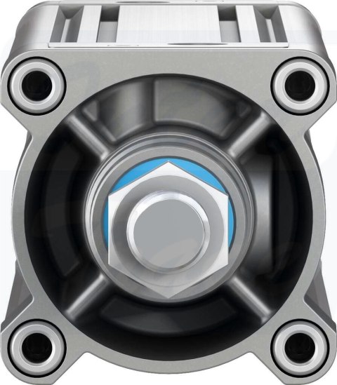 [DSBC-80-300-PPVA-N3] {2126600} Siłownik znormalizowany