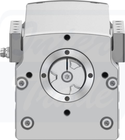 [ELGT-BS-90-250-20P] {8124422} Napęd ze śrubą