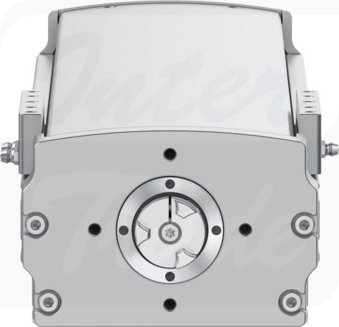 [ELGT-BS-120-550-20P] {8124501} Napęd ze śrubą