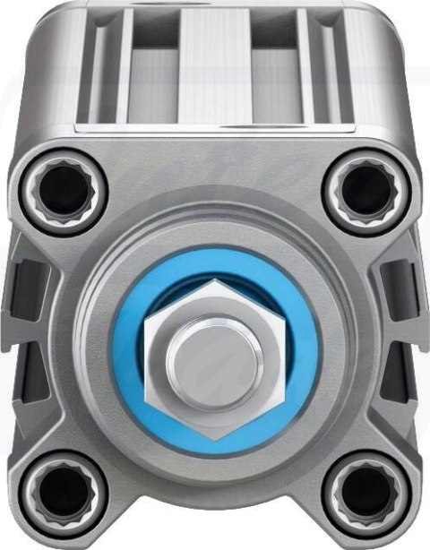 [DSBC-32-300-D3-PPSA-N3] {3659388} Siłownik znormalizowany