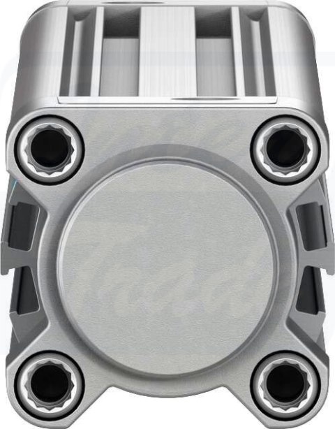 [DSBC-32-300-D3-PPSA-N3] {3659388} Siłownik znormalizowany