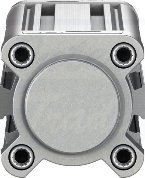 [DSBC-40-250-D3-PPVA-N3] {3660628} Siłownik znormalizowany