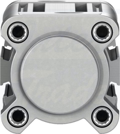 [DSBC-40-80-D3-PPSA-N3] {3660766} Siłownik znormalizowany