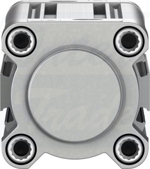 [DSBC-50-160-D3-PPVA-N3] {3659478} Siłownik znormalizowany