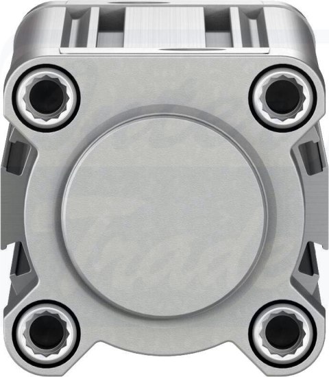 [DSBC-50-200-D3-PPSA-N3] {3659503} Siłownik znormalizowany