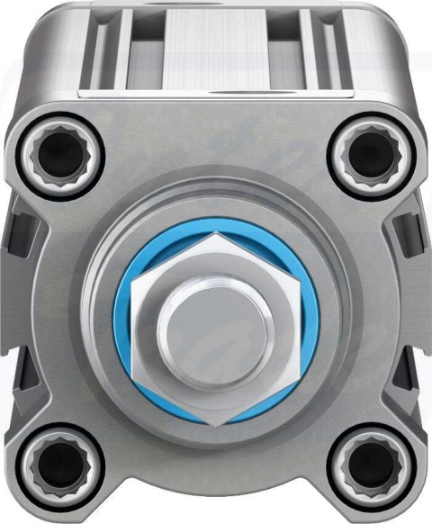 [DSBC-50-320-D3-PPSA-N3] {3659506} Siłownik znormalizowany