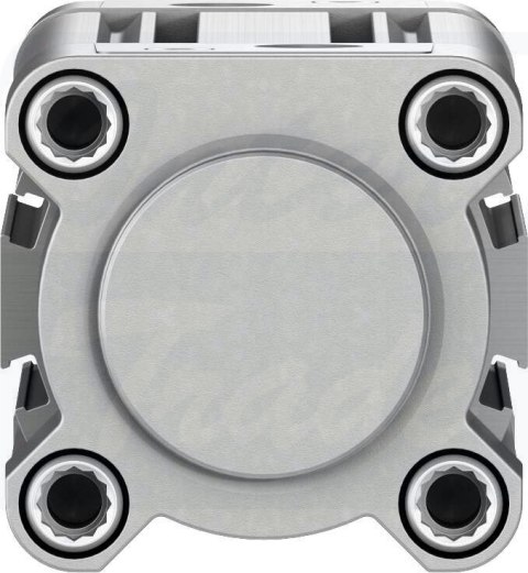 [DSBC-50-80-D3-PPVA-N3] {3659474} Siłownik znormalizowany