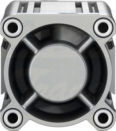 [DSBC-80-250-D3-PPSA-N3] {3656867} Siłownik znormalizowany