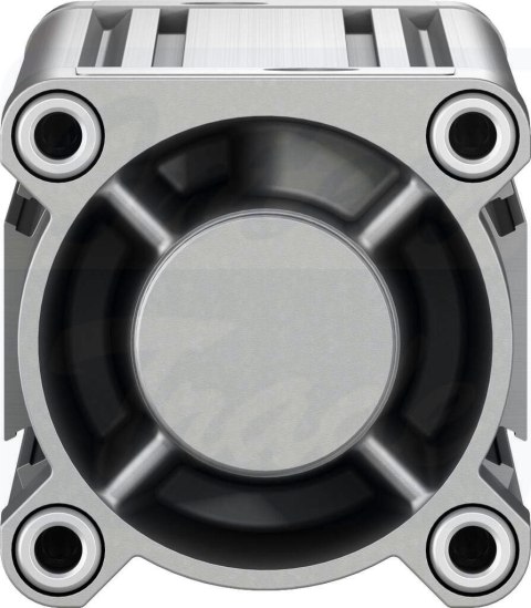 [DSBC-80-300-D3-PPSA-N3] {3656868} Siłownik znormalizowany