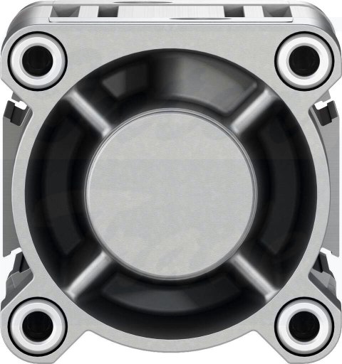 [DSBC-80-70-D3-PPSA-N3] {3656860} Siłownik znormalizowany