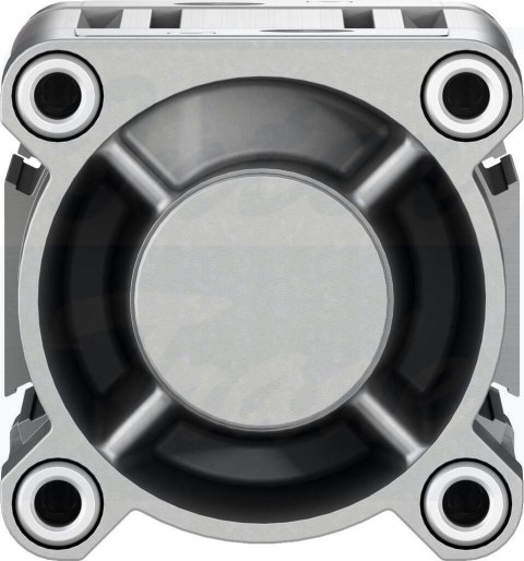 [DSBC-80-80-D3-PPVA-N3] {3656638} Siłownik znormalizowany